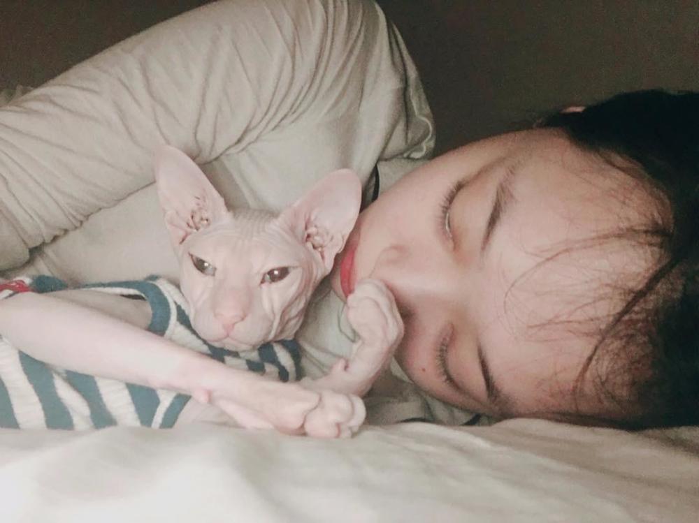 金希澈竟然领养了雪莉的猫!被家人抛弃的,却被他深深爱着!