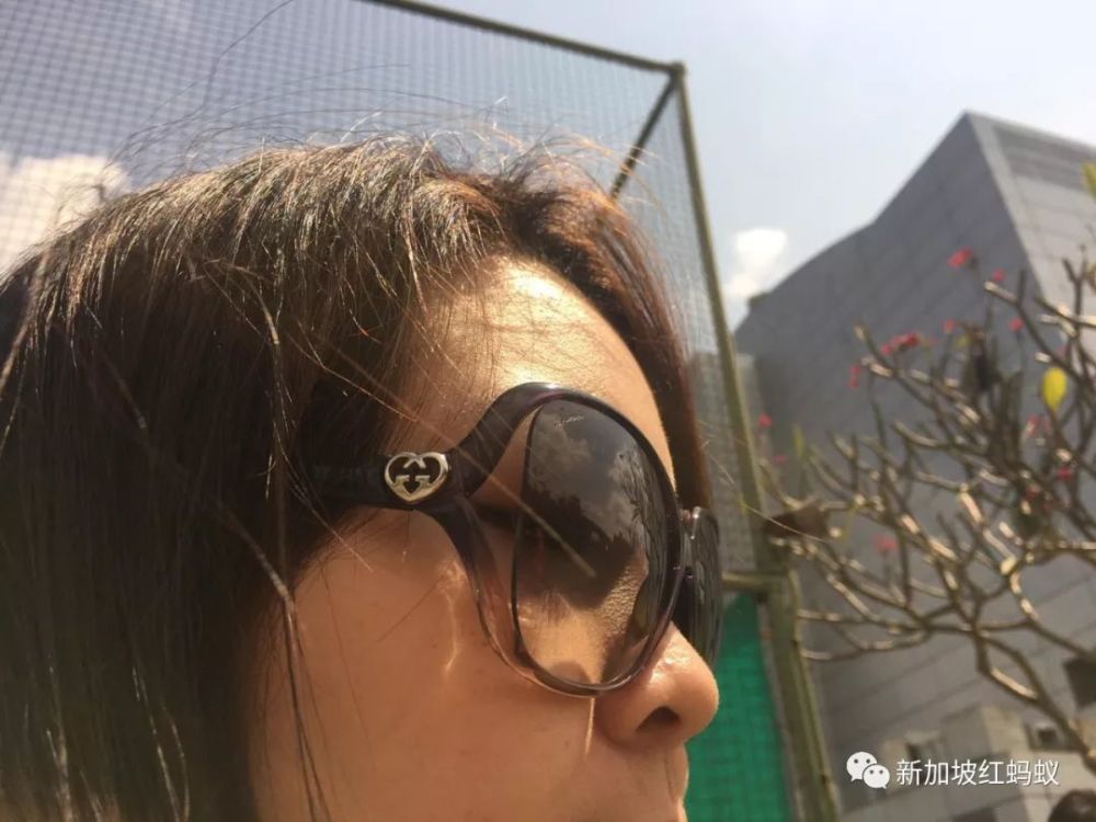 中国看不到的日环食 新加坡人居然拿出X光胸片