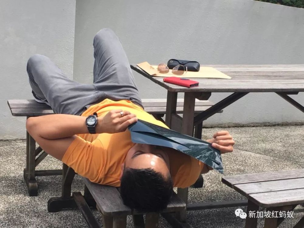 中国看不到的日环食 新加坡人居然拿出X光胸片