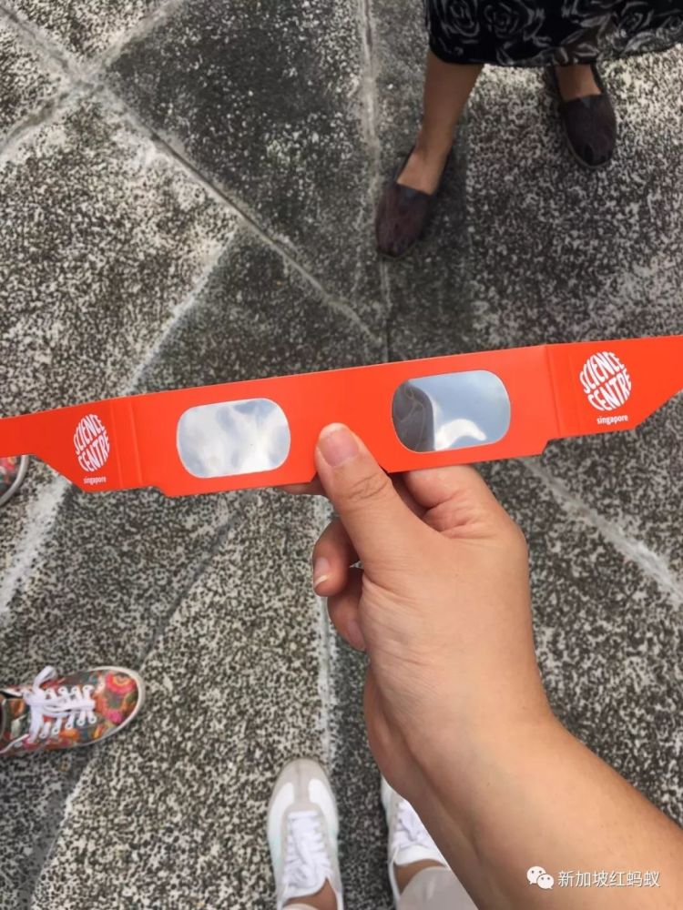 中国看不到的日环食 新加坡人居然拿出X光胸片
