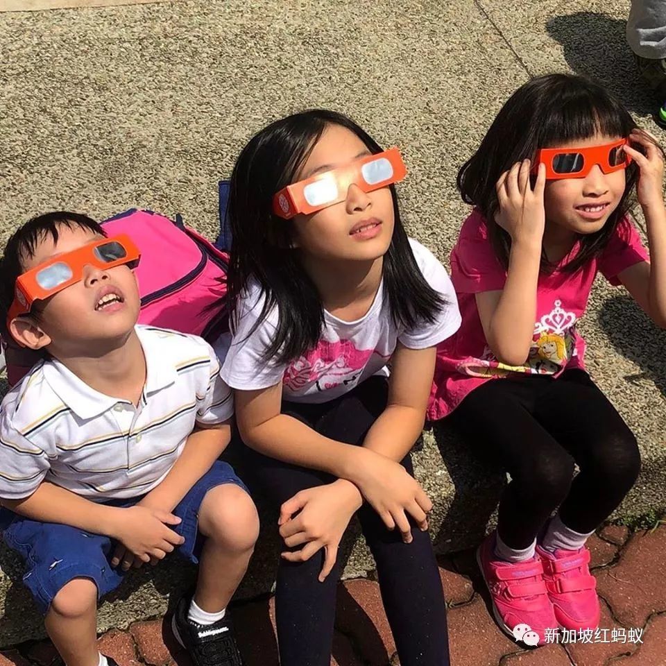 中国看不到的日环食 新加坡人居然拿出X光胸片