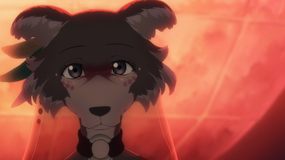 动物狂想曲:朱诺的陨石祭表白,究竟是爱情还是野心