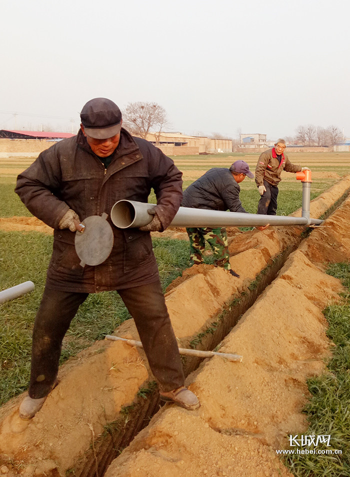藁城区:建设高效节水灌溉工程 年可节水127万立方米