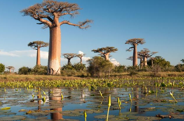 世界上最穷的国排名_世界第一款超级排名em电(2)