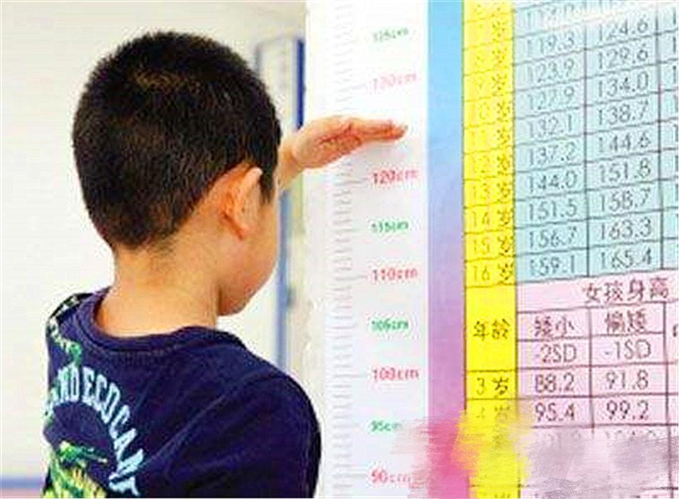 一年级就1米7了小学生篮球赛现小姚明12岁身高近2米