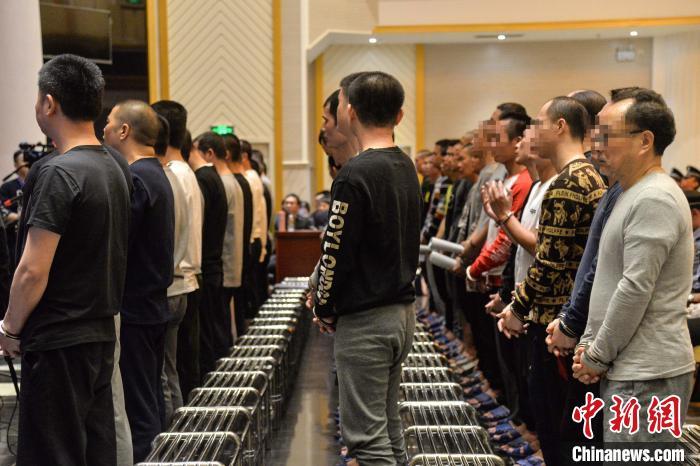 涉黑团伙偷运活体禽畜 海口一官员充当"保护伞"受审