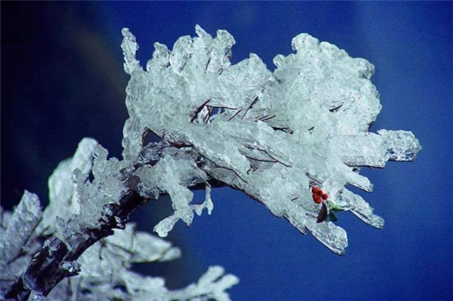 冬日胜景说雾凇 寒江雪柳 玉树琼花 腾讯新闻