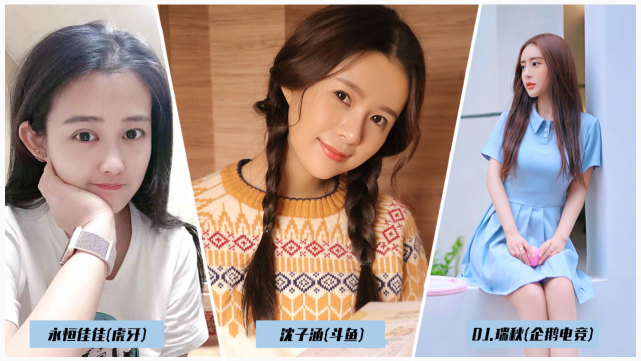 2019小葫芦年度最受欢迎红人票选活动圆满结束