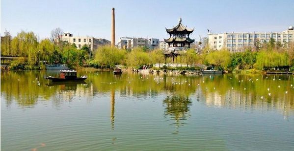 昆明动物园每年海鸥来临之际,环西桥秋园都有上百只红嘴鸥在空盘旋