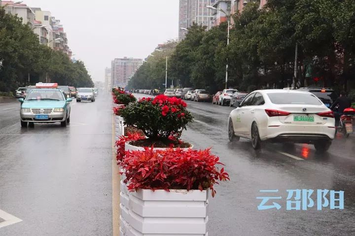 邵阳市区这条路变样了 全新花箱 上路 太漂亮了 腾讯新闻