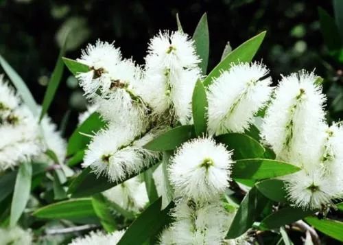 掉头发,脱发,头皮屑多,头痒,油腻,干枯受损,怎么办?