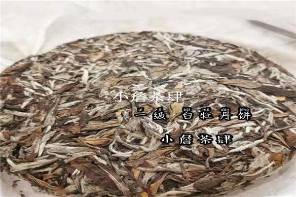 什么是白茶？