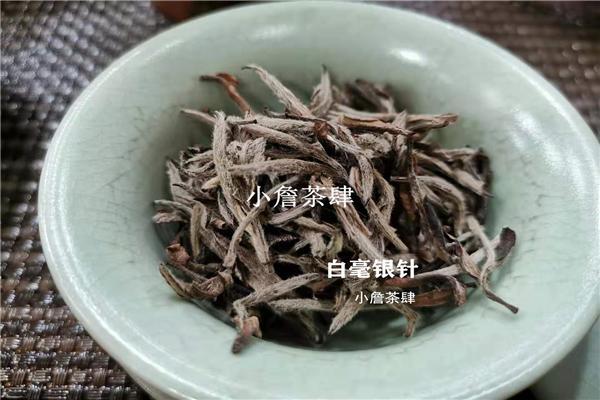 什么是白茶？