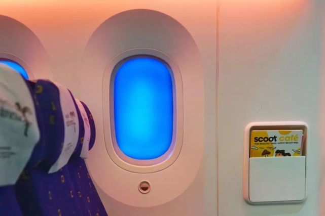 飞机的窗户玻璃是会变色的,哈哈哈!