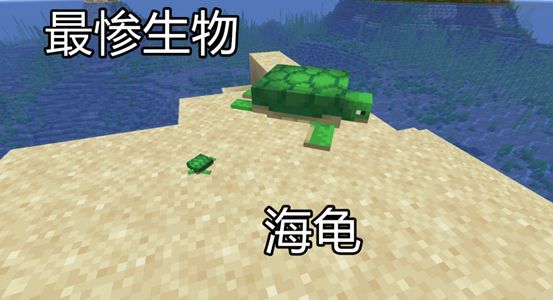 谁能比它惨《我的世界》中身世凄惨生物 它还没出生就被疯狂针对