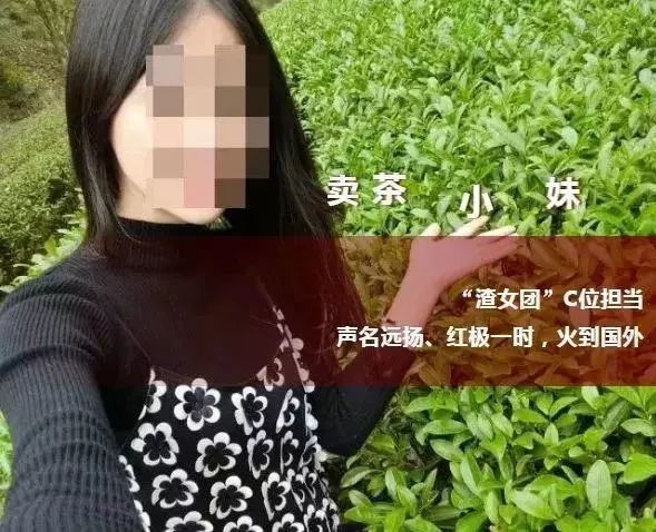 姜堰法院判处了一批卖茶女没想到竟是这样一群人