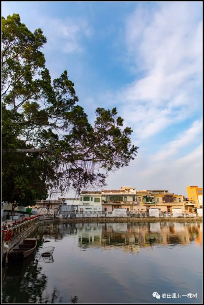 旅游指引地点:汕头澄海上华菊池村(地处汕汾高速公路的澄海湖心出口