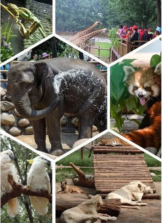 长治要建太行野生动物园啦!拟定选址公布!