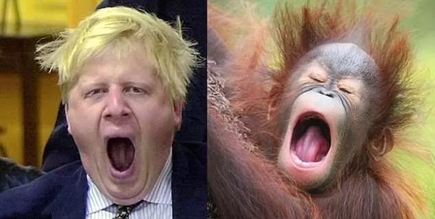 英国首相鲍里斯是英式幽默的典型代表吗?