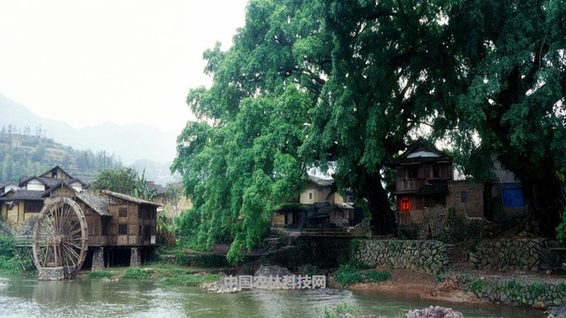 土楼群由1座方楼(步云楼),3座圆楼(和昌楼,振昌楼,瑞云楼)和1座椭圆形