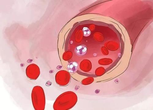 血管堵,手脚先知,喝好3杯水,常动4处,可疏通血管,防血栓_腾讯新闻