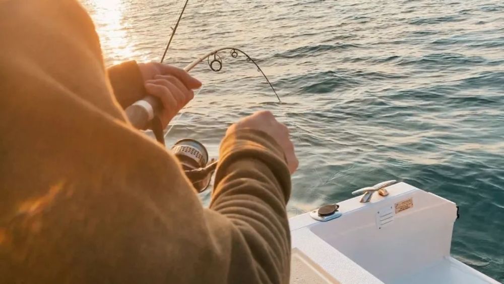 鱼都炸锅了,迪拜深海钓鱼是怎样一种体验?