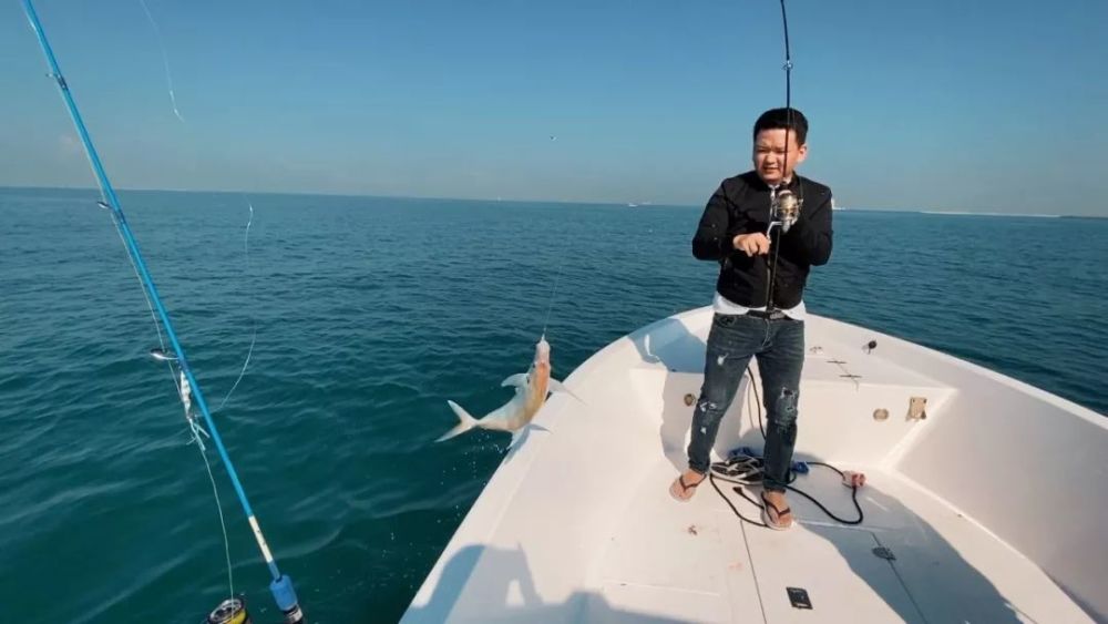 鱼都炸锅了,迪拜深海钓鱼是怎样一种体验?