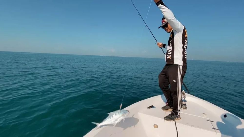 鱼都炸锅了,迪拜深海钓鱼是怎样一种体验?