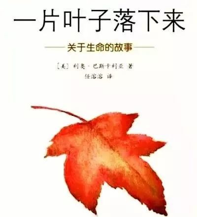 亲子阅读一片叶子落下来