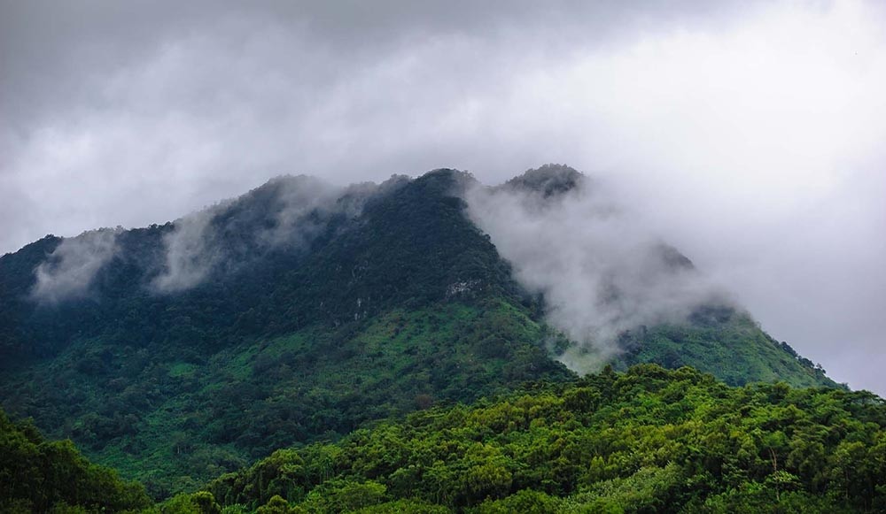 罗帅村,一个被海南热带雨林与云雾环绕,洗涤烦恼与喧嚣的好去处