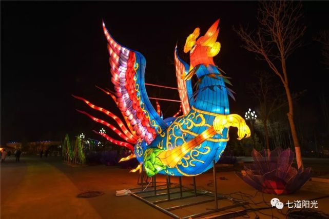 据说是这几年最大的银川灯展了亮灯抢先看好不好