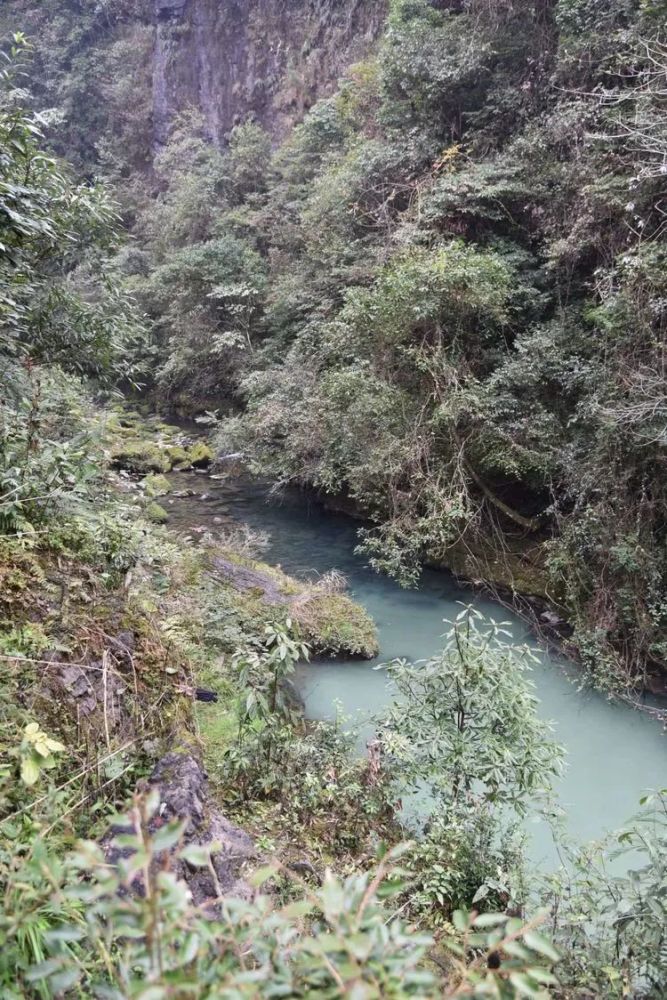 走遍龙山 大安乡内口河 腾讯新闻