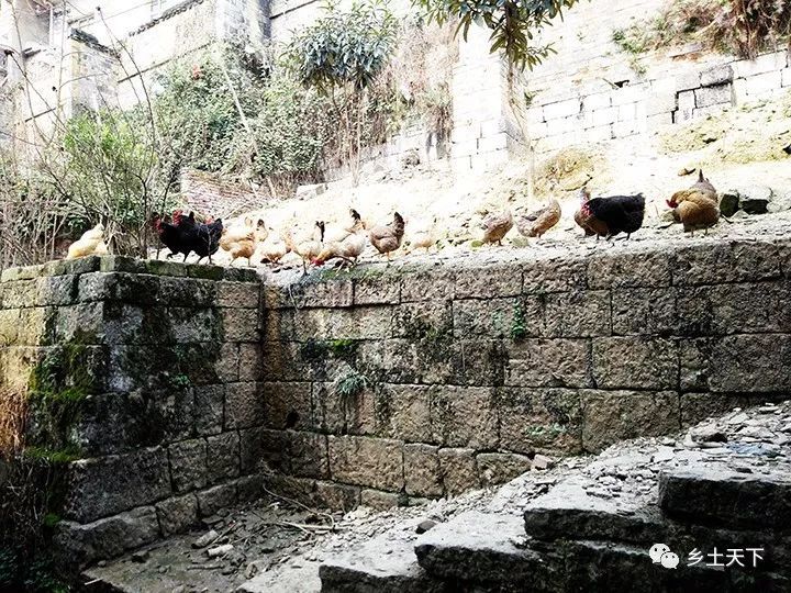 邵东老屋记忆 笃庆堂 长发屋 三益堂 腾讯新闻