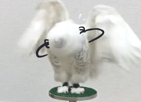 那些农大里你所要知道的"热知识"