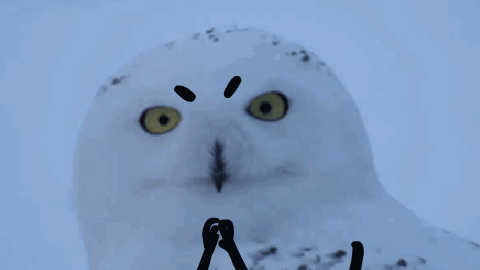 神兽归笼今天郑州967万余小学生返校