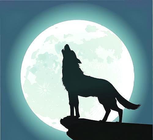 一位富翁告诉我穷人羊性富人狼性这三点把贫富根源说透了