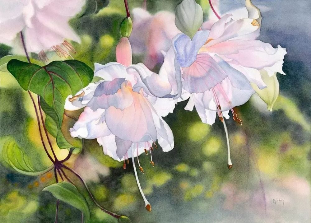 花与光的碰撞 她画的超写实水彩花卉 美到窒息 腾讯新闻