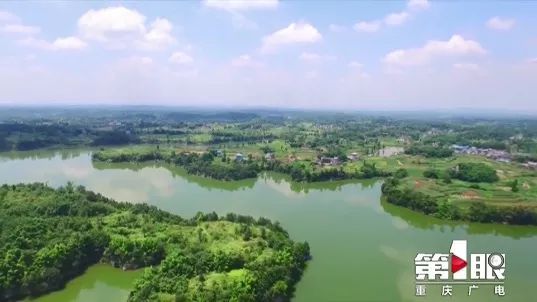 重庆国考断面Ⅲ类水质比例达97.6%