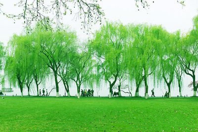 这四句闪耀着爱国主义光芒的诗句,被称为《诗