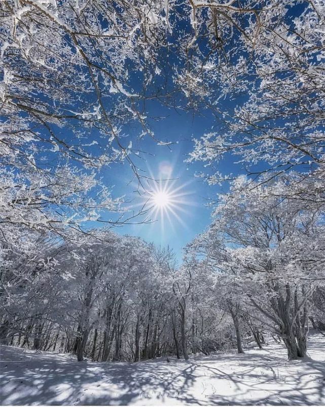 最美雪景真是看醉了