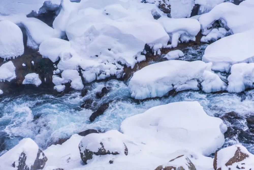 危机如影随形,严寒猝不及防,但一路徒步向前,企业家们绝不会为困难和