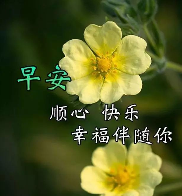 2020最后一天微信短信问候祝福语最新早上好微信祝福语录