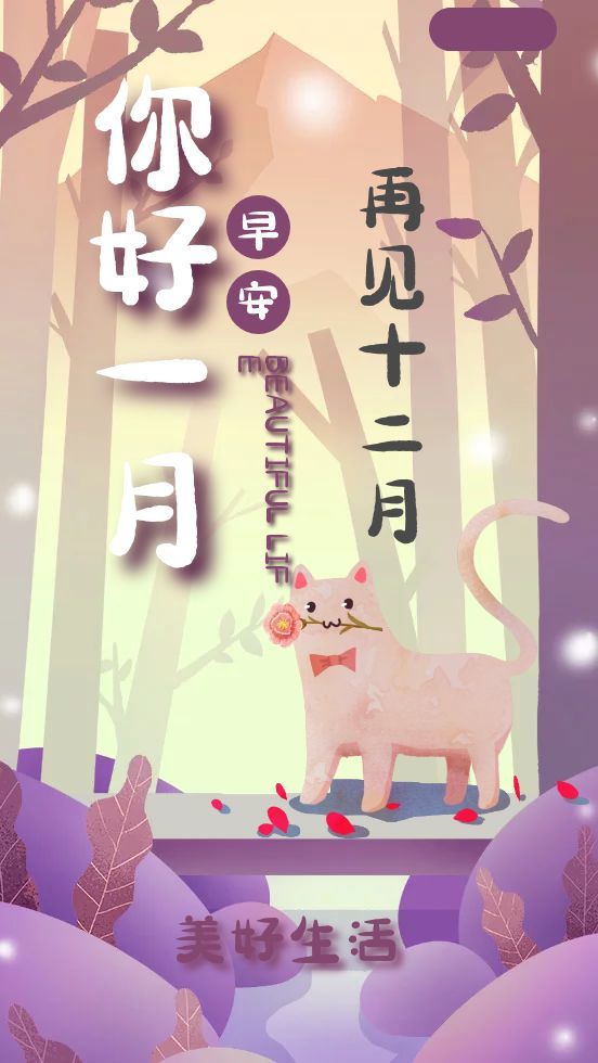 6,十二月再见,一月你好,新的一月,新的一年,不动摇,不惰怠,不退缩,为