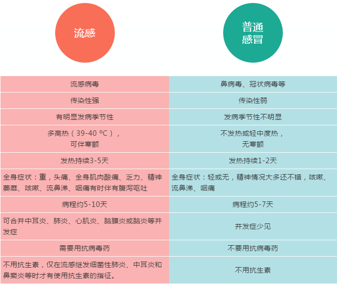 流感病毒分为甲,乙,丙,丁四型,其中甲型和乙型是感染的主要类型