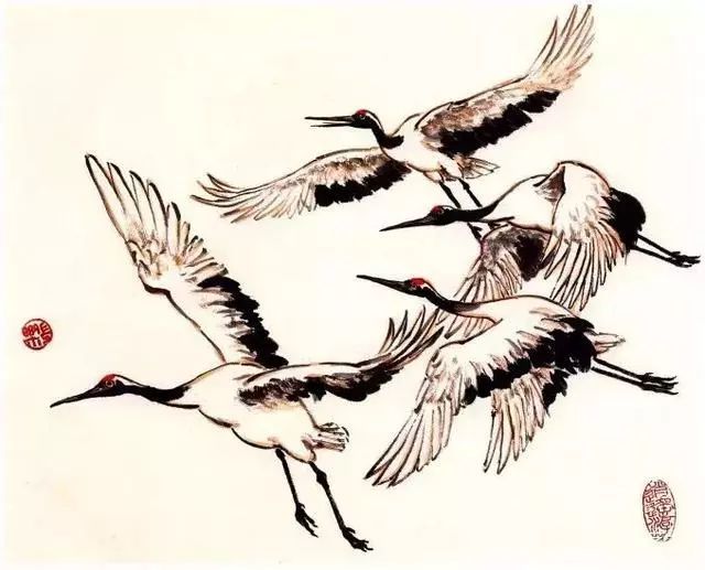 丹顶鹤写意画法总结的太全面了点赞收藏