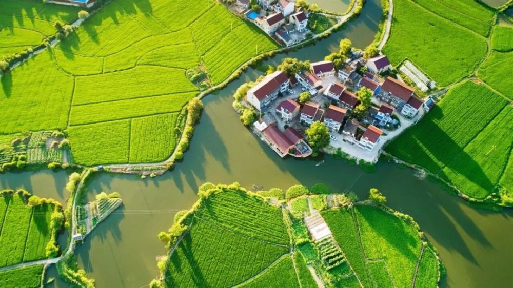 滁州2020城市排名_长三角27城2020年前三季度GDP排名,上海唯一负增长,舟山