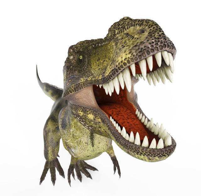 pk 2:血盆大口难道只是装饰?