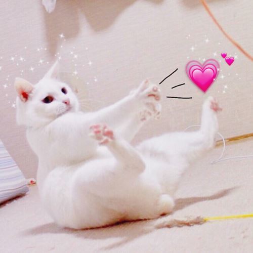 女生经常叫哥是什么意思?若是第3种,那你离