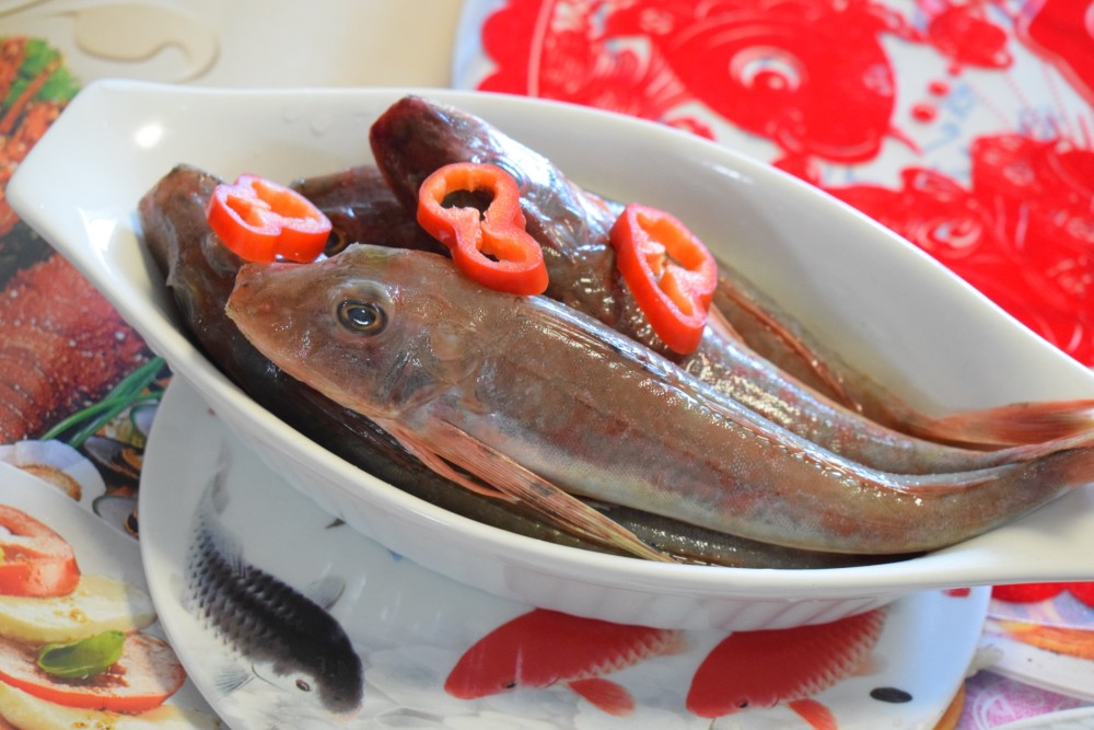 比如短鰭紅娘魚,頭部全部是骨板,在遼寧,河北沿海一帶都稱之為窮頭魚.