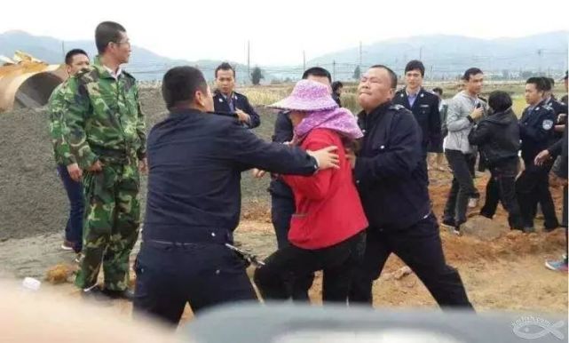 阳江多个黑恶势力被判刑!其中涉及"村霸","海霸","黑社会组织"!